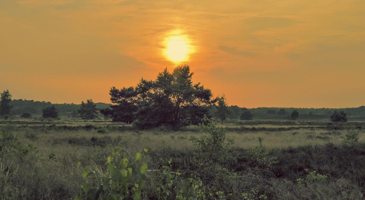 Lodge Ijsvogel Nunspeet Veluwe Eksteriør bilde